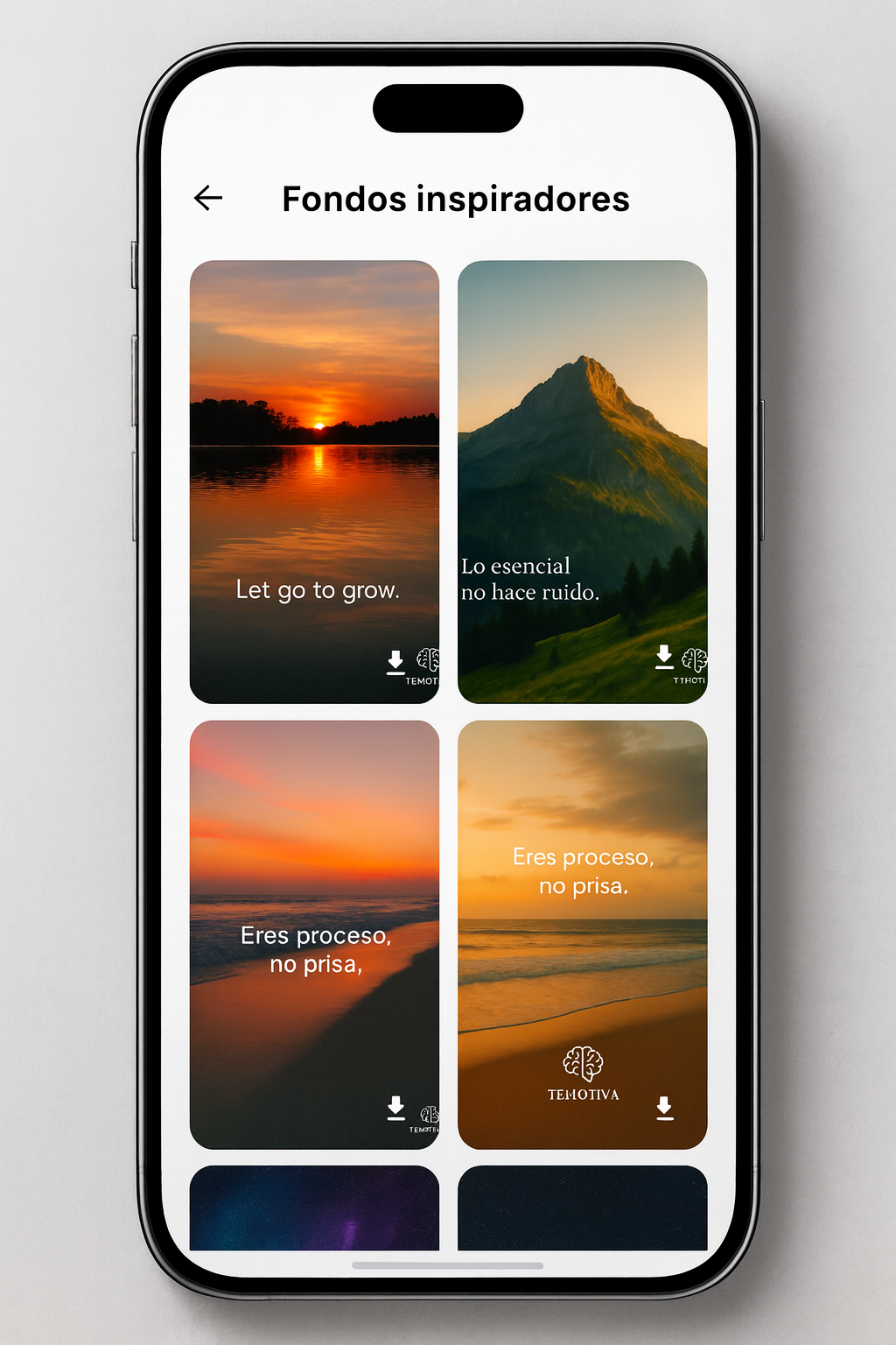 Vista previa de los recursos de TEMOTIVA